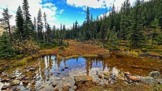 Cavell Creek - Parc National de Jasper Canada 2023